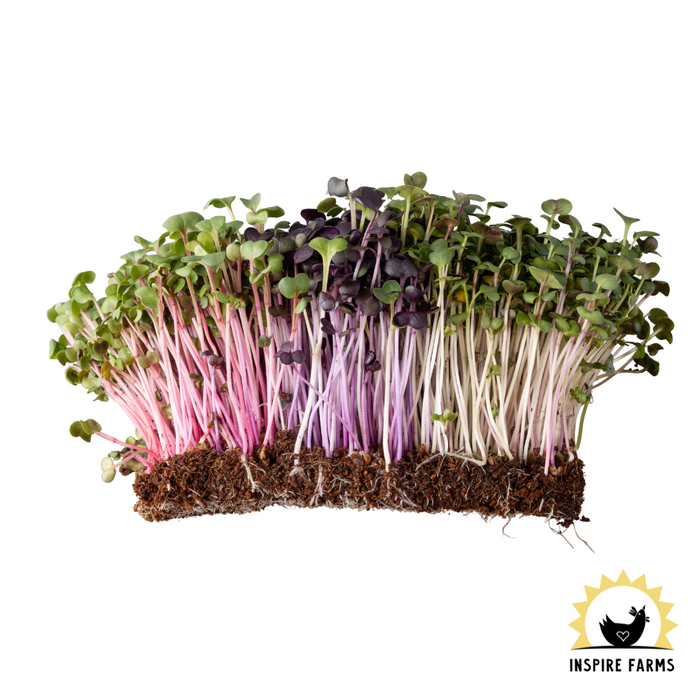 Just Farm Vegetables, Greens, and Herbs