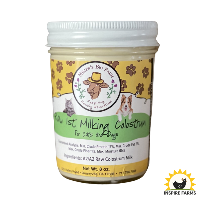 Raw First Milking A2/A2 Colostrum (Glass) - 8oz