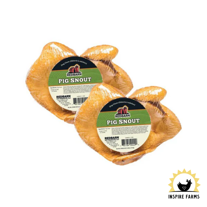 Redbarn Pig Snout Dog Chew