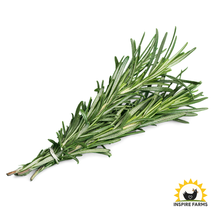 Rosemary