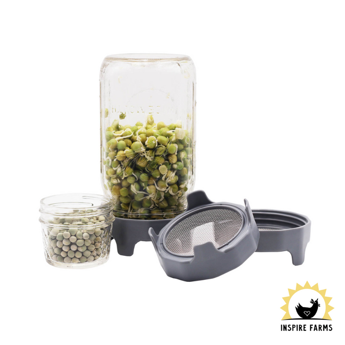 Rust Proof Sprouting Lid with Built-In Stand for Wide Mouth