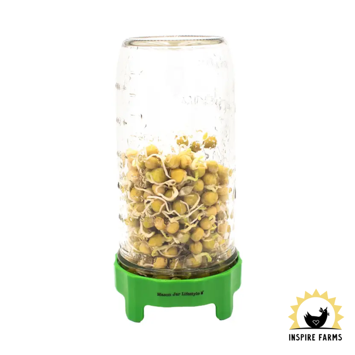 Rust Proof Sprouting Lid with Built-In Stand for Wide Mouth