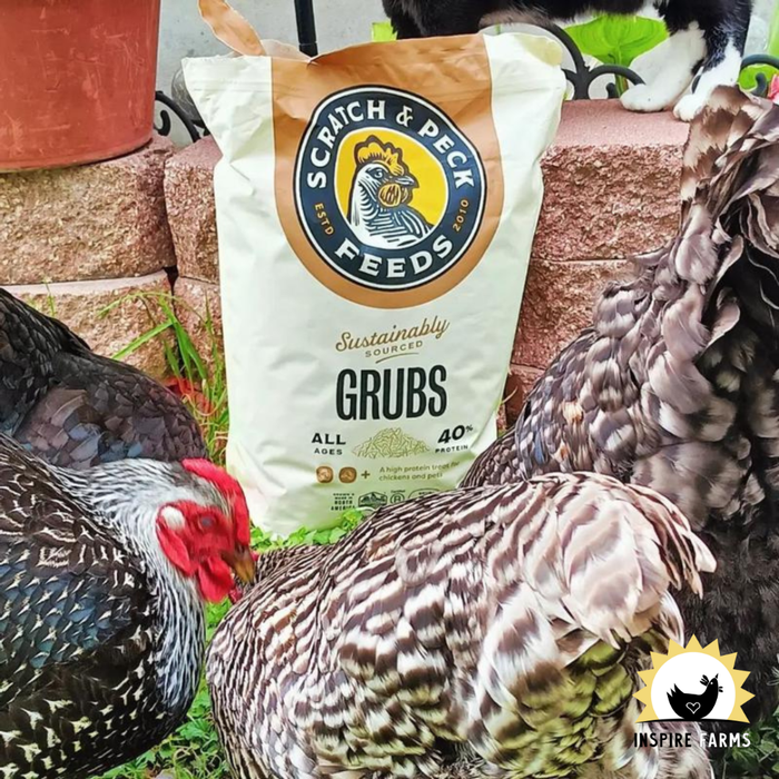 Scratch and Peck Grubs (Dried Black Soldier Fly Larvae)