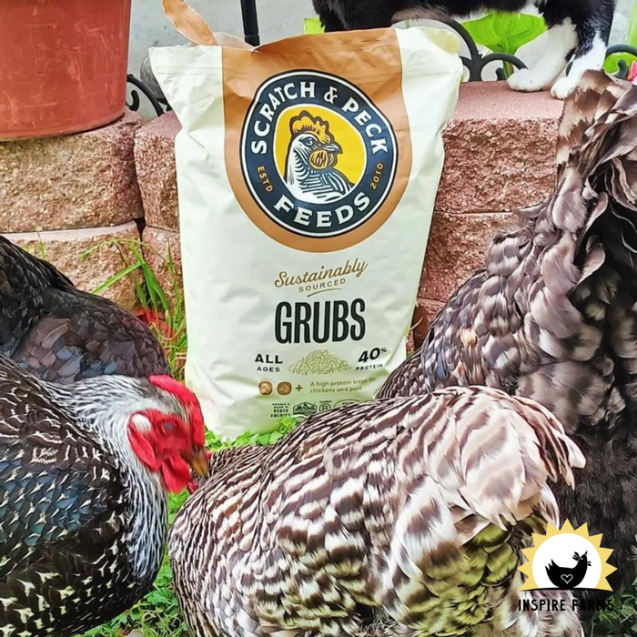 Scratch and Peck Grubs (Dried Black Soldier Fly Larvae)