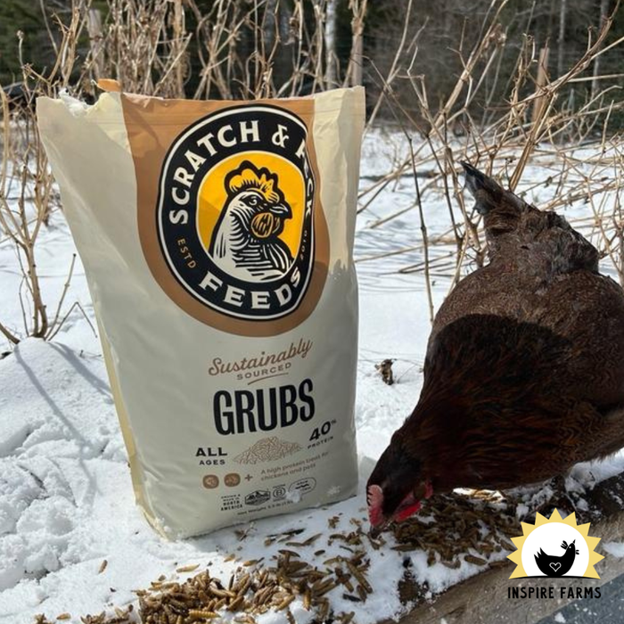 Scratch and Peck Grubs (Dried Black Soldier Fly Larvae)