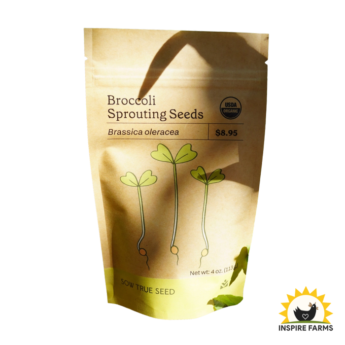 Broccoli Sprouting Seeds
