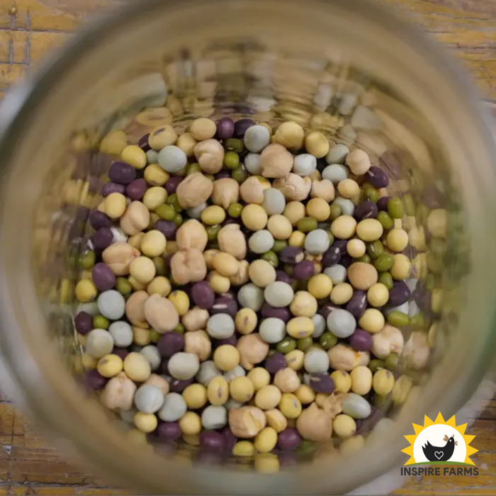 Mega Protein Crunch Sprouting Seeds
