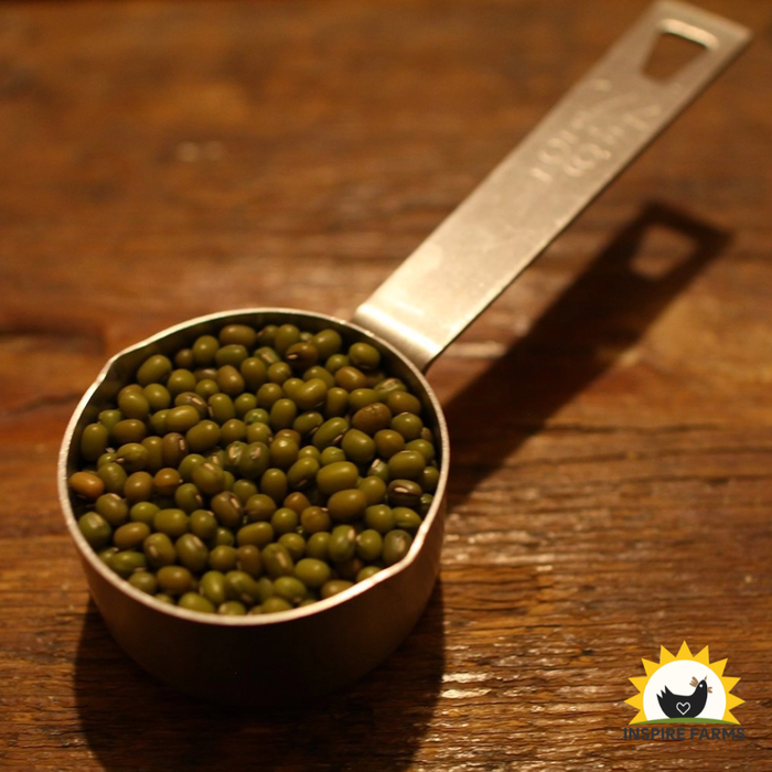 Mung Bean Sprouting Seed