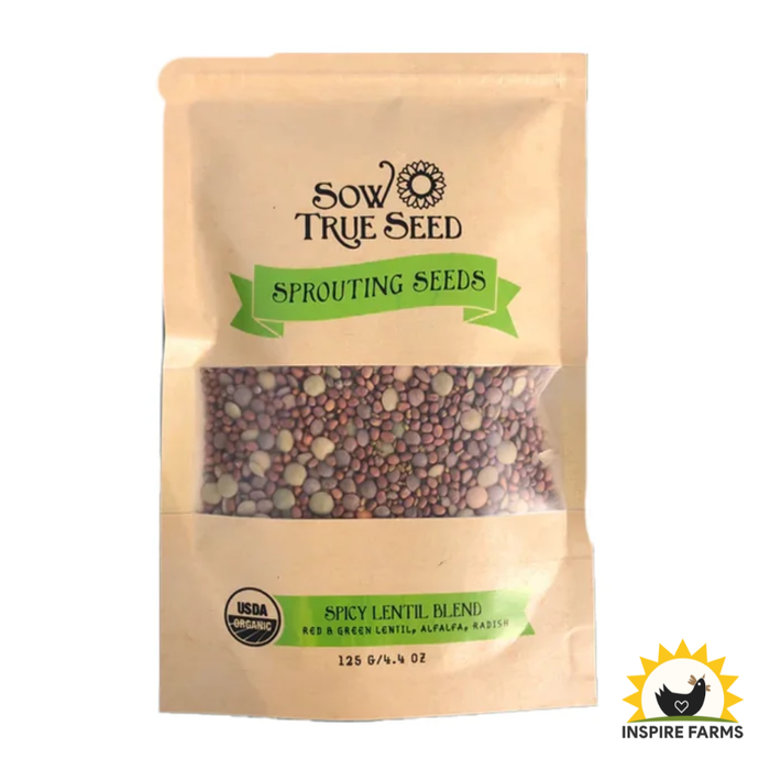 Spicy Lentil Blend Sprouting Seeds