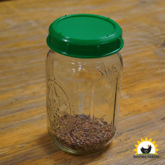 Sprouting Salad Mix