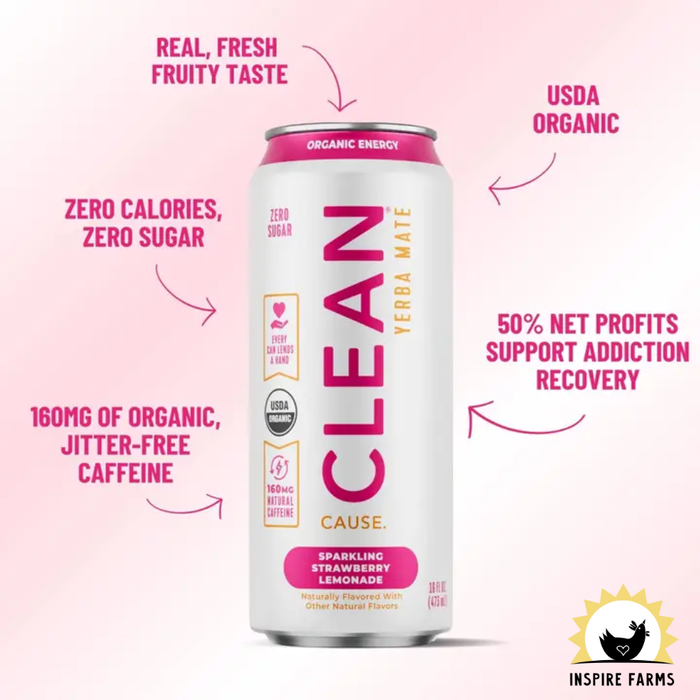 Organic Yerba Mate Tea – Sparkling & Non-Carbonated Energy Drink 16oz