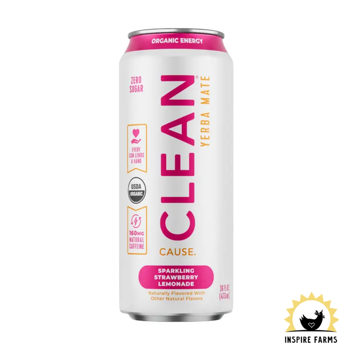 Organic Yerba Mate Tea – Sparkling & Non-Carbonated Energy Drink 16oz