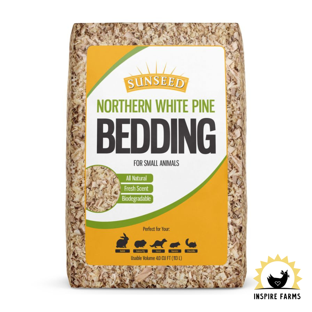 Bedding & Litter