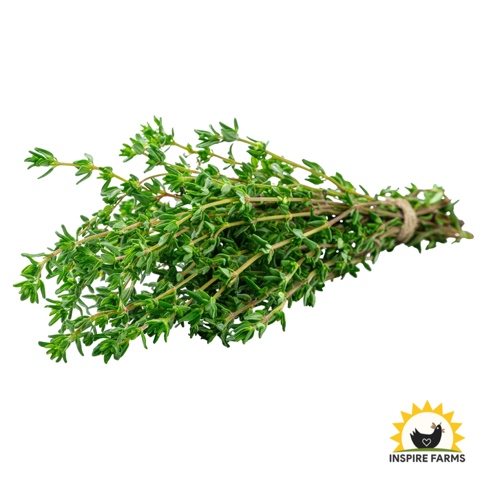 Thyme