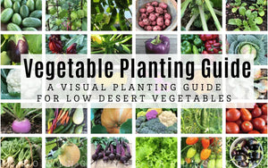 Low Desert Planting and Harvest Garden Guide