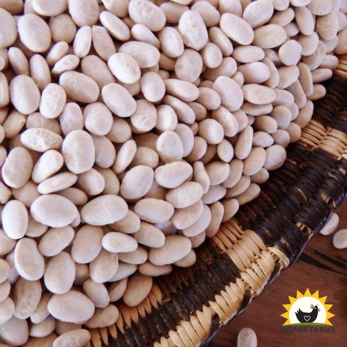 Tepary Beans
