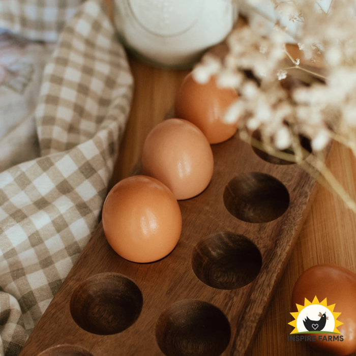 Wood Egg Holder