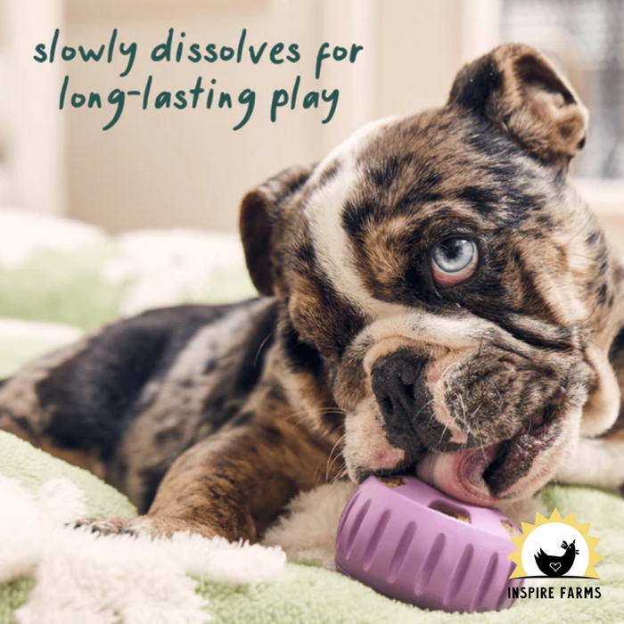 Woof Dog Calming Wellness Pops