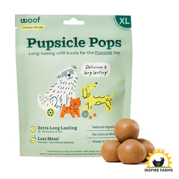 Woof Dog Beef Pupsicle