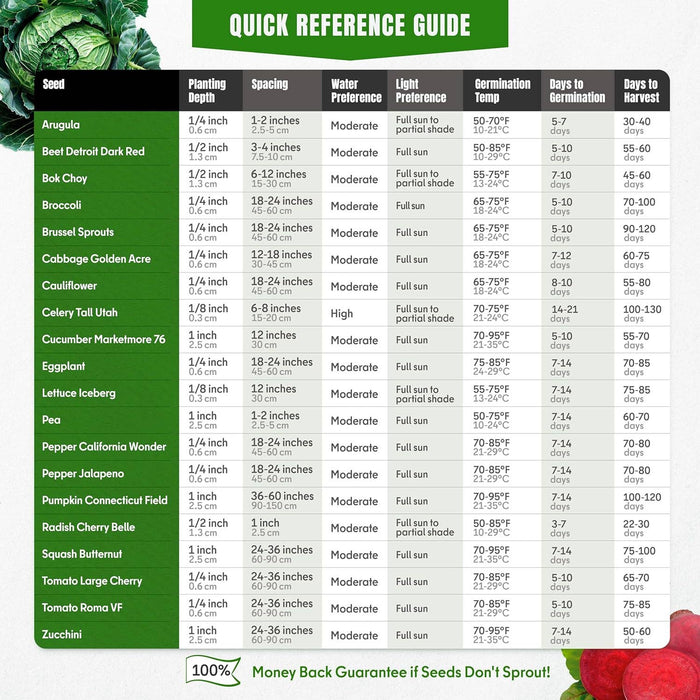 20 Vegetable Seeds Variety Pack