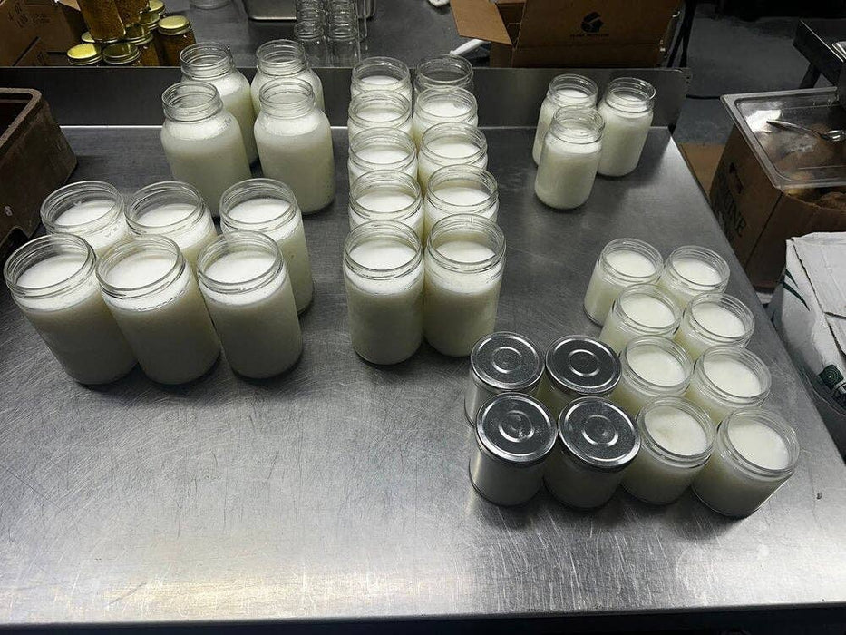 Unscented Grass Fed Bulk Beef Tallow - 8 Pounds