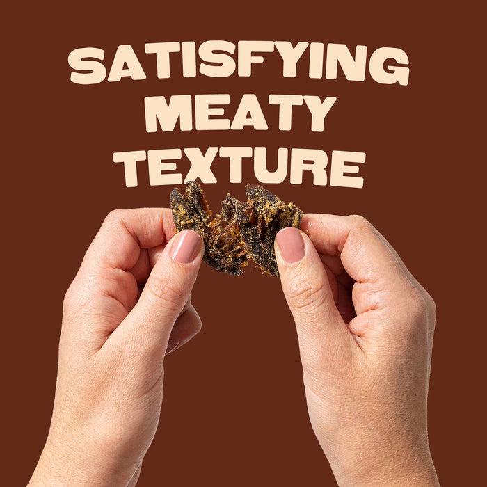 Pan's Mushroom Jerky - 2.2oz Teriyaki
