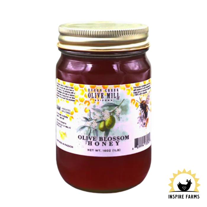 Queen Creek Olive Mill - Olive Blossom Honey - 1lb