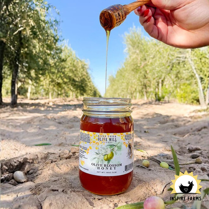 Queen Creek Olive Mill - Olive Blossom Honey - 1lb