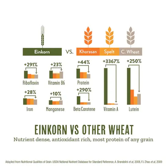 Revival Einkorn - Toasted Sesame & Honey