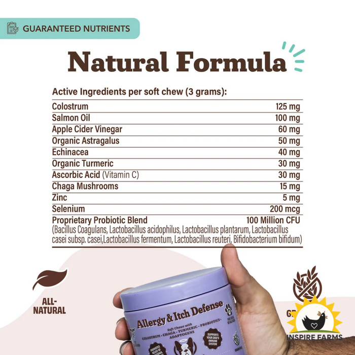 Natural Dog Company Dog Allergy & Itch Supplement Chews - 90 Count