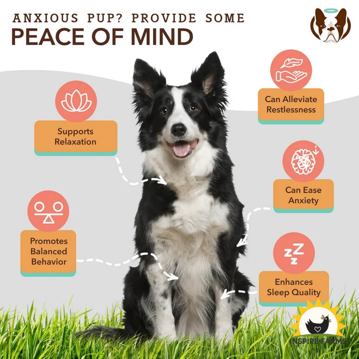 Natural Dog Company Dog Calming Supplement Chews - 90 Count