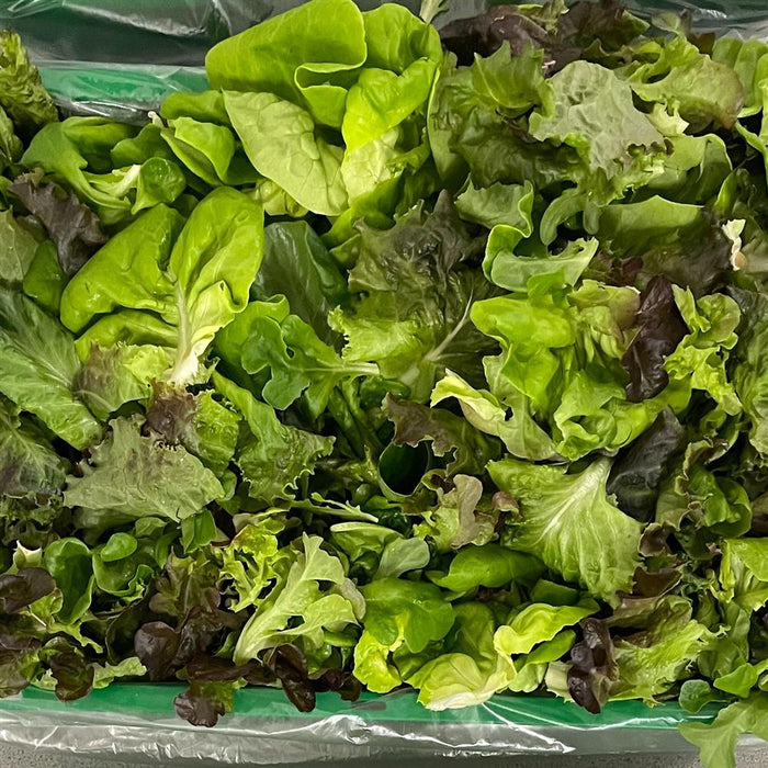 Salad Mix 1lb bag TruLocal
