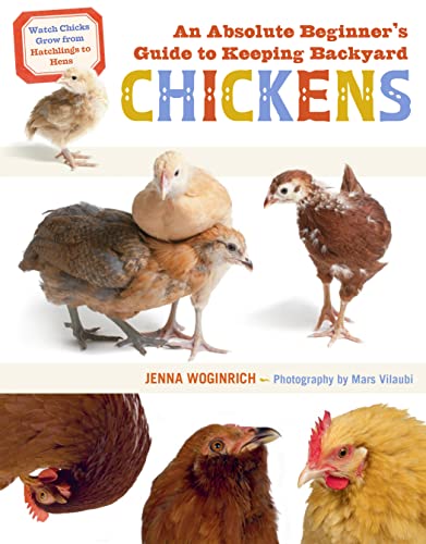 An Absolute Beginner's Guide to keeping Backyard Chickens Book