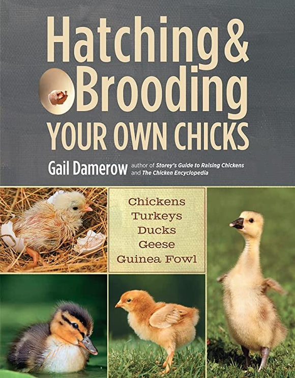 Hatching & Brooding Your Own Chicks Book