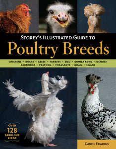 Poultry Breeds Book