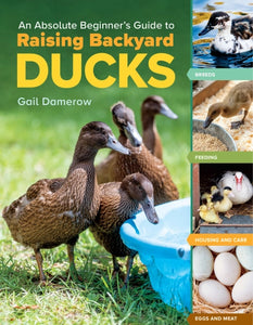 An Absolute Beginner's Guide to Raising Backyard Ducks Book