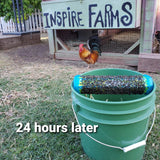 Inspire Farms Fly Trap Setup