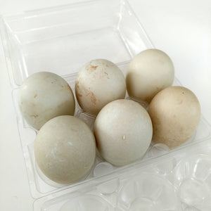 Organic Fed Duck Eggs Half Dozen