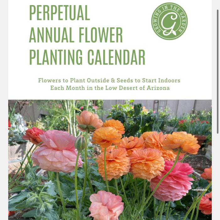 Low Desert Perpetual Annual Flower Planting Calendar
