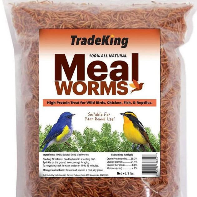 Trade King Mealworms Inspire Farms
