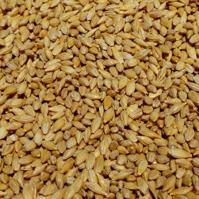 Modesto Milling Whole Barley